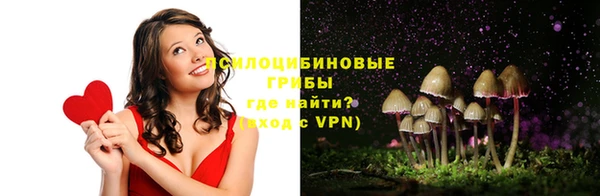 ГАЛЛЮЦИНОГЕННЫЕ ГРИБЫ Алексин