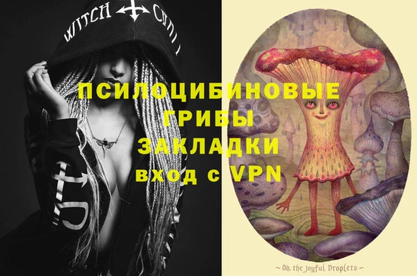 прущие крисы Алзамай