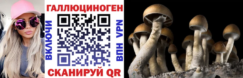 Галлюциногенные грибы Psilocybe  как найти закладки  сайты даркнета официальный сайт  Покров 